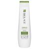 Biolage Strength Recovery Shampoo Shampoo für Frauen 250 ml