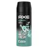 Axe Ice Breaker Cool Mint &amp; Mandarin Deodorant für Herren 150 ml