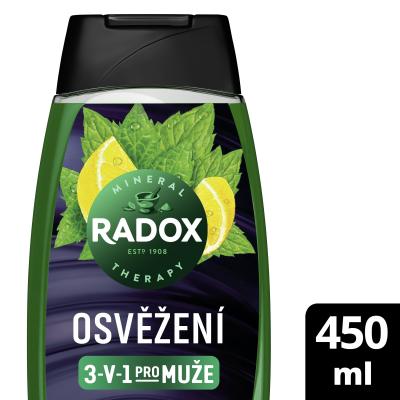 Radox Refreshment Menthol And Citrus 3-in-1 Shower Gel Duschgel für Herren 450 ml