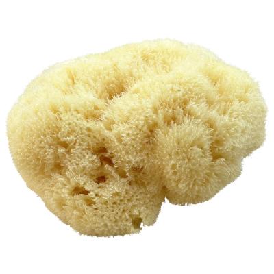 Kii-Baa Organic Silky Sea Sponge 10-12 cm Badzubehör &amp; -textilien 1 St.