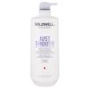 Goldwell Dualsenses Just Smooth Conditioner für Frauen 1000 ml