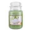 Yankee Candle Vanilla Lime Duftkerze 623 g