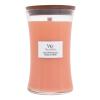 WoodWick Chilli Pepper Gelato Duftkerze 610 g