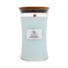 WoodWick Magnolia Birch Duftkerze 610 g