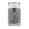 Yankee Candle Signature Black Tea &amp; Lemon Duftkerze 567 g