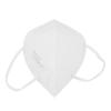 Arizon Filter Mask FFP2 Mundschutz und Respirator 1 St.