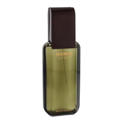 Antonio Puig Quorum Eau de Toilette für Herren 100 ml