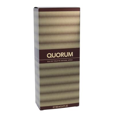 Antonio Puig Quorum Eau de Toilette für Herren 100 ml