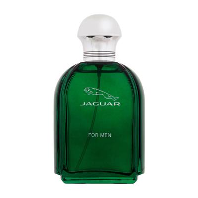 Jaguar Jaguar Eau de Toilette für Herren 100 ml