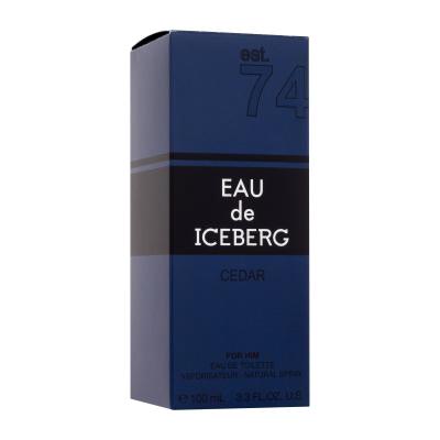 Iceberg Eau de Iceberg Cedar Eau de Toilette für Herren 100 ml