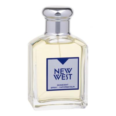 Aramis New West Eau de Toilette für Herren 100 ml