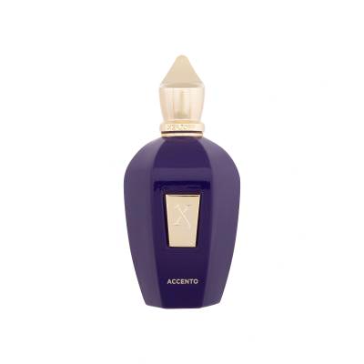 Xerjoff V Collection Accento Eau de Parfum 100 ml