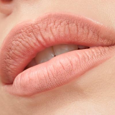 Catrice Plumping Lip Liner Lippenkonturenstift für Frauen 0,35 g Farbton  150 Queen Vibes