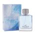 Hollister Wave Eau de Toilette für Herren 100 ml