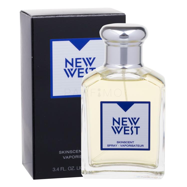 Aramis New West Eau de Toilette für Herren 100 ml