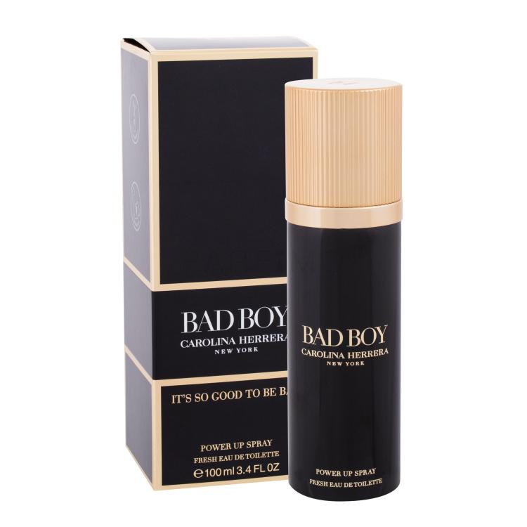 Carolina Herrera Bad Boy Eau de Toilette für Herren 100 ml
