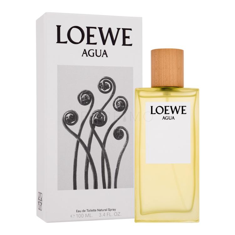 Loewe Agua Eau de Toilette 100 ml