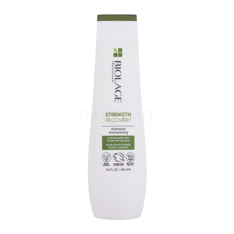 Biolage Strength Recovery Shampoo Shampoo für Frauen 250 ml