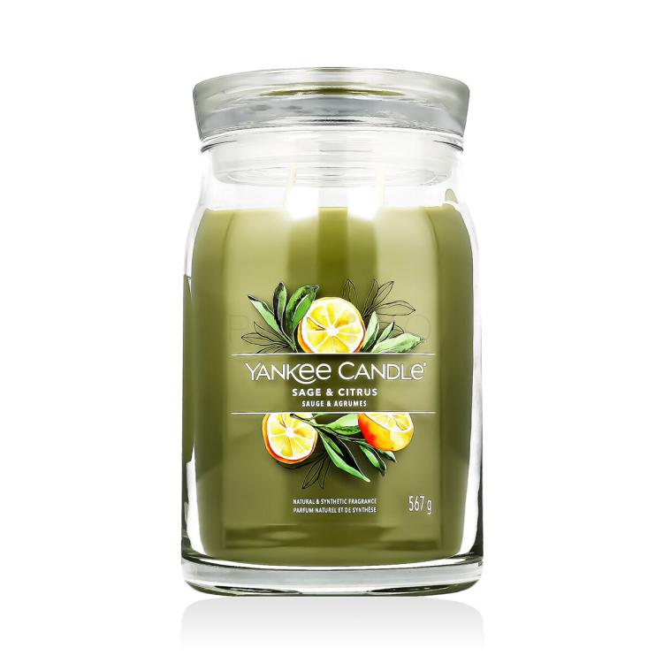 Yankee Candle Signature Sage &amp; Citrus Duftkerze 567 g