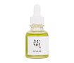 Gesichtsserum Beauty of Joseon Green Tea + Panthenol Calming Serum 30 ml