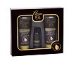 Shampoo Xpel Argan Oil 100 ml Sets