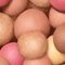 Poudre Guerlain Météorites Light-Revealing Pearls of Powder 25 g 04 Amber/Ambre