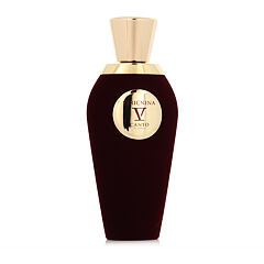 Extrait de Parfum V Canto Stricnina 100 ml
