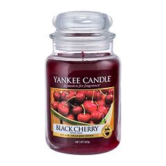 Bougie parfumée Yankee Candle Black Cherry 623 g