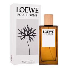 Eau de Toilette Loewe Pour Homme 100 ml