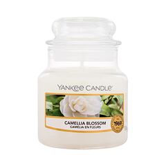 Bougie parfumée Yankee Candle Camellia Blossom 104 g