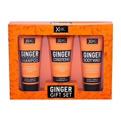 Shampoo Xpel Ginger 100 ml Sets