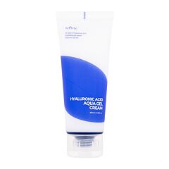 Tagescreme Isntree Hyaluronic Acid Aqua Gel Cream 100 ml