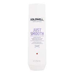 Shampooing Goldwell Dualsenses Just Smooth 250 ml