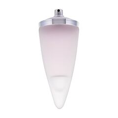 Eau de Toilette Rochas Man 100 ml Tester