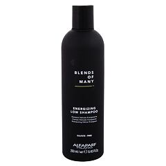 Shampooing ALFAPARF MILANO Blends Of Many Energizing 250 ml