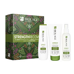 Shampooing Biolage Strength Recovery 250 ml Sets