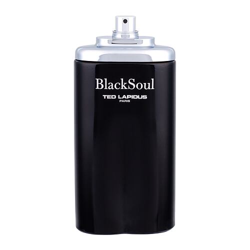 Eau de toilette Ted Lapidus Black Soul 100 ml Tester